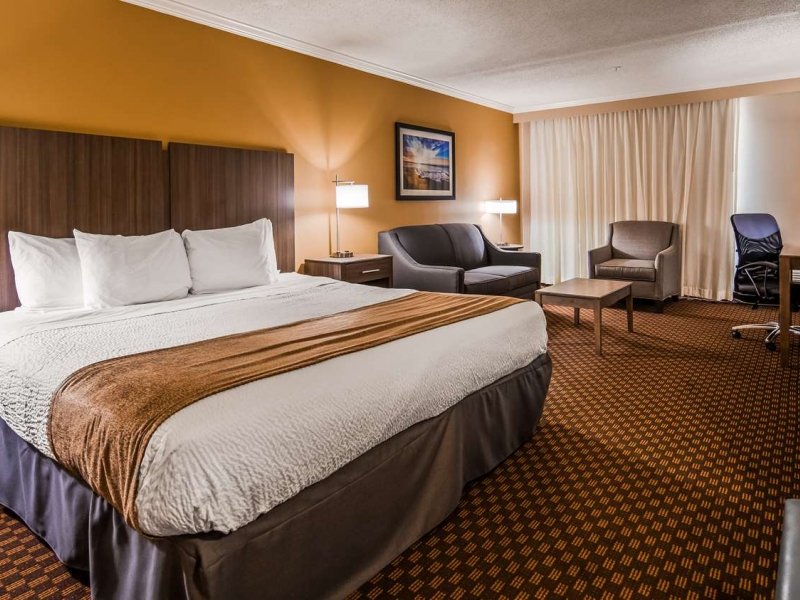 Best Western Hotel King Bed Room