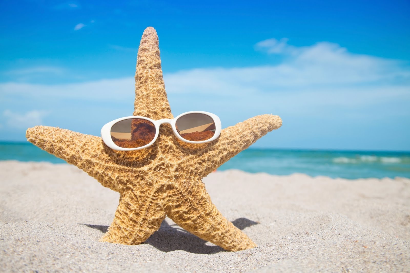 Отпуск картинки прикольные. Отпуск. Лето отпуск. Морская звезда на пляже. Ава в отпуске.